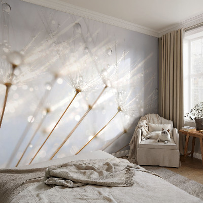 Samolepicí fototapeta do ložnice Růžová pampeliška