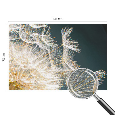 Fototapeta pro kluka Pampeliška lehkosti