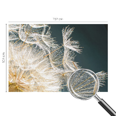 Fototapeta pro kluka Pampeliška lehkosti