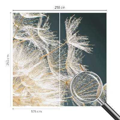 Fototapeta pro kluka Pampeliška lehkosti