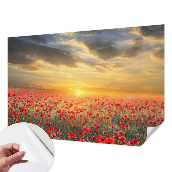 Samolepící fototapeta 3d Makové pole