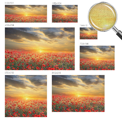 Samolepící fototapeta 3d Makové pole