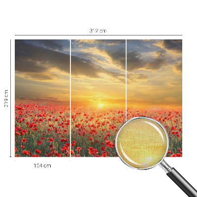Samolepící fototapeta 3d Makové pole