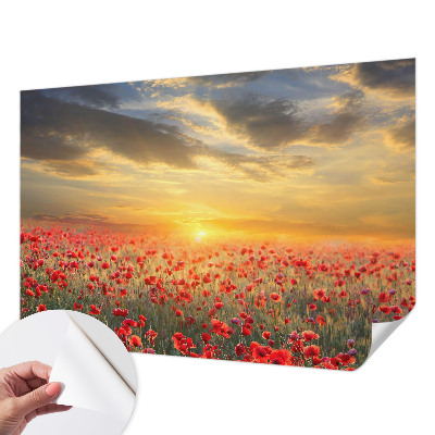 Samolepící fototapeta 3d Makové pole