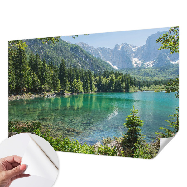 Samolepicí fototapeta na zeď Zelené jezero