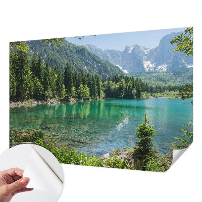 Samolepicí fototapeta na zeď Zelené jezero
