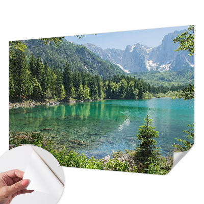 Samolepicí fototapeta na zeď Zelené jezero