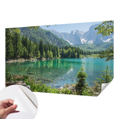 Samolepicí fototapeta na zeď Zelené jezero