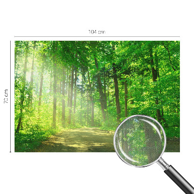 Samolepicí fototapeta Lesní cesta