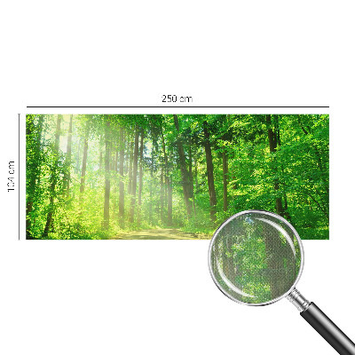 Samolepicí fototapeta Lesní cesta