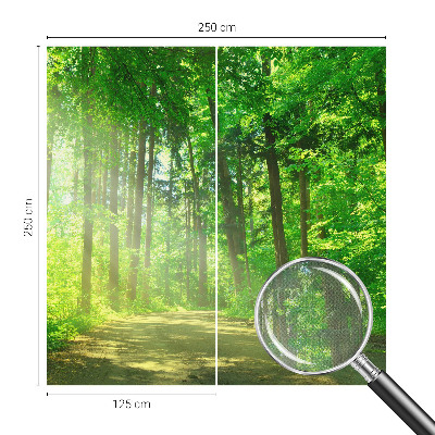 Samolepicí fototapeta Lesní cesta