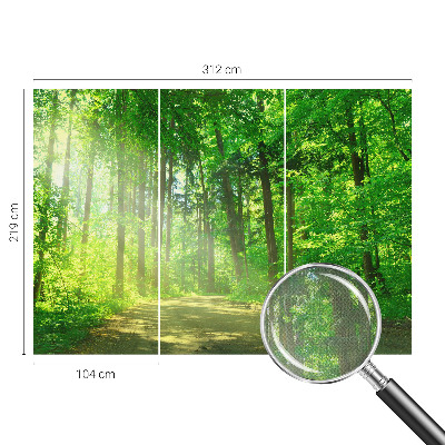 Samolepicí fototapeta Lesní cesta