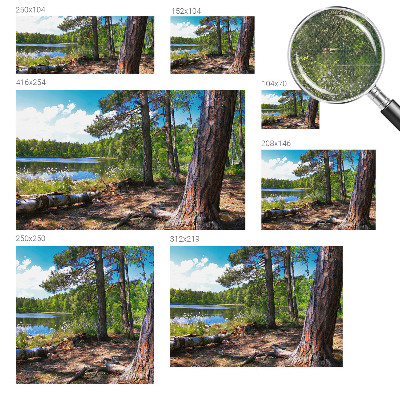 Fotografická tapeta samolepicí Lesní krajina