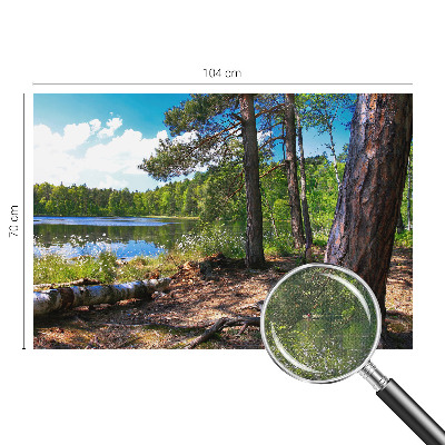 Fotografická tapeta samolepicí Lesní krajina