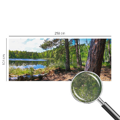 Fotografická tapeta samolepicí Lesní krajina