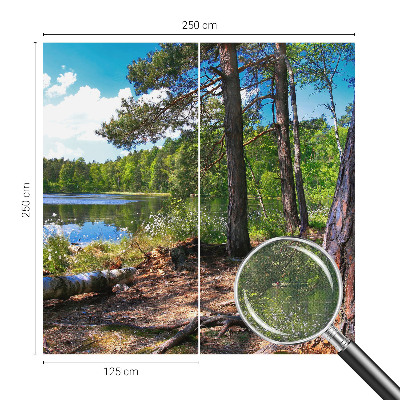 Fotografická tapeta samolepicí Lesní krajina