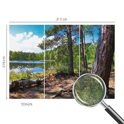 Fotografická tapeta samolepicí Lesní krajina