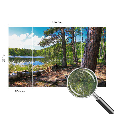 Fotografická tapeta samolepicí Lesní krajina