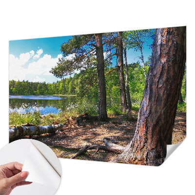 Fotografická tapeta samolepicí Lesní krajina