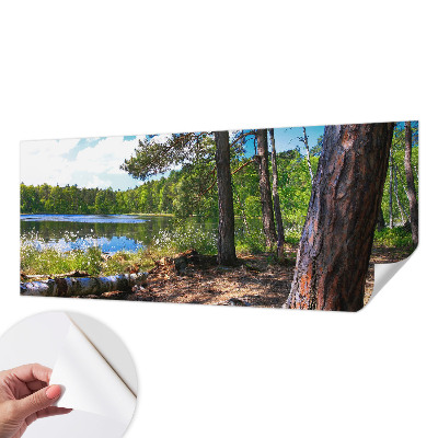 Fotografická tapeta samolepicí Lesní krajina