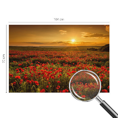 Fototapeta do dětského pokoje Makové pole