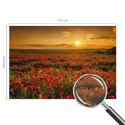 Fototapeta do dětského pokoje Makové pole