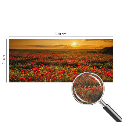 Fototapeta do dětského pokoje Makové pole