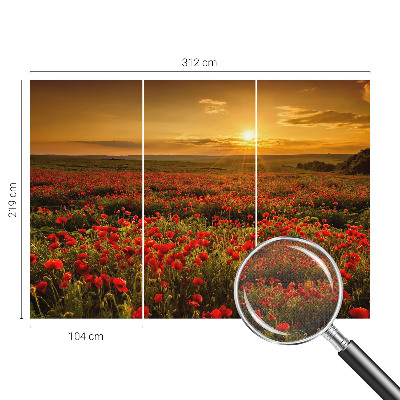 Fototapeta do dětského pokoje Makové pole