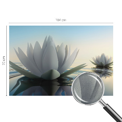 Samolepicí dekorativní fototapeta Lekníny