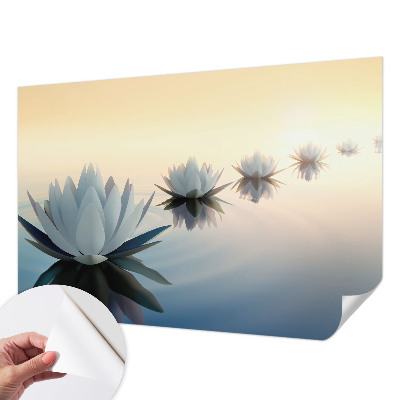 Moderní samolepicí fototapeta Klidný výhled