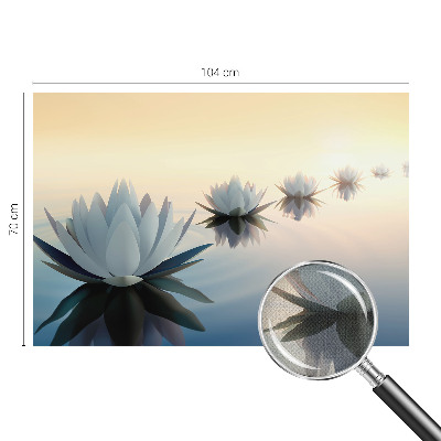 Moderní samolepicí fototapeta Klidný výhled