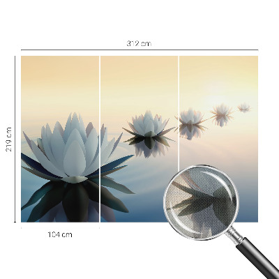 Moderní samolepicí fototapeta Klidný výhled