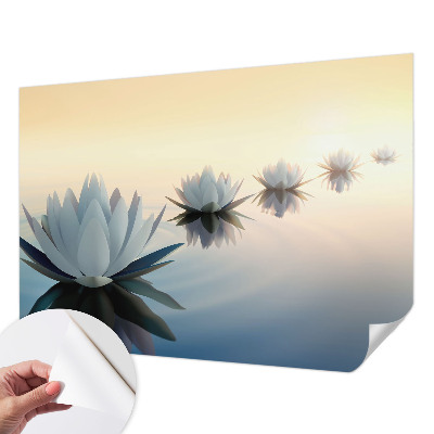 Moderní samolepicí fototapeta Klidný výhled