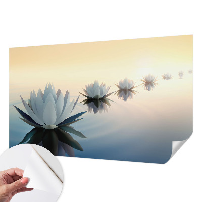 Moderní samolepicí fototapeta Klidný výhled