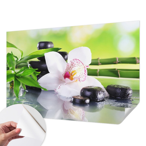 Samolepicí fototapeta na míru Mír přírody