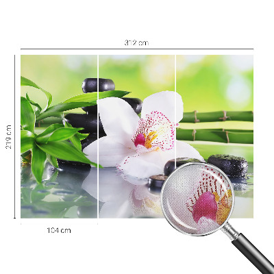 Samolepicí fototapeta na míru Mír přírody