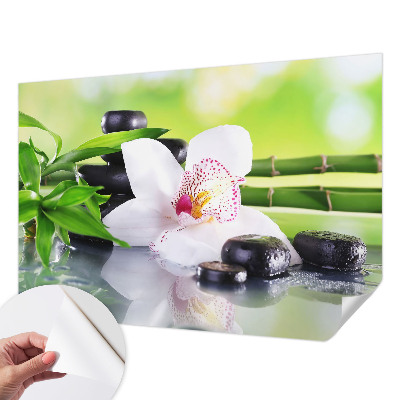 Samolepicí fototapeta na míru Mír přírody