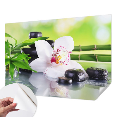 Samolepicí fototapeta na míru Mír přírody