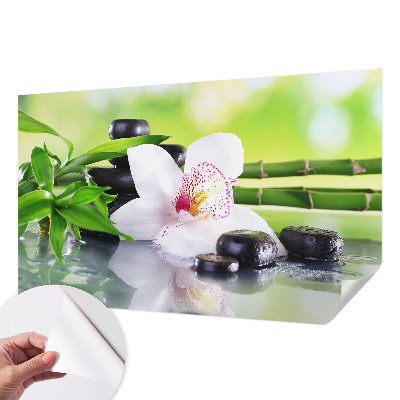 Samolepicí fototapeta na míru Mír přírody