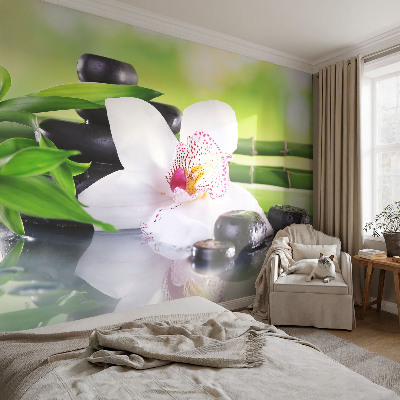 Samolepicí fototapeta na míru Mír přírody