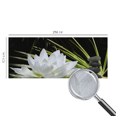 Samolepicí fototapeta na zeď Meditace s liliemi