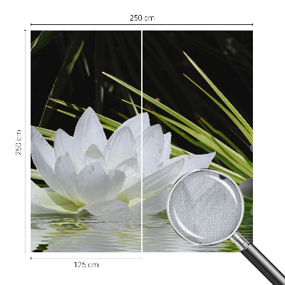 Samolepicí fototapeta na zeď Meditace s liliemi