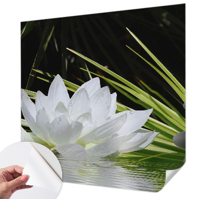 Samolepicí fototapeta na zeď Meditace s liliemi