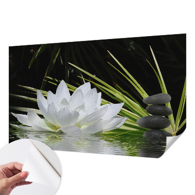 Samolepicí fototapeta na zeď Meditace s liliemi