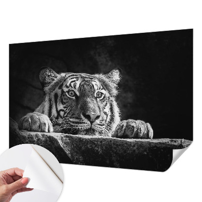 Fototapeta pro holku Dravý pohled