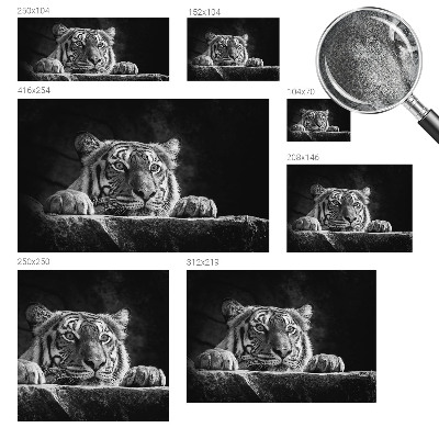 Fototapeta pro holku Dravý pohled