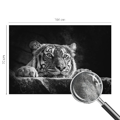 Fototapeta pro holku Dravý pohled