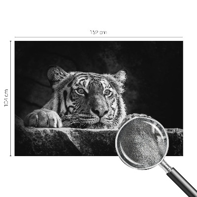 Fototapeta pro holku Dravý pohled