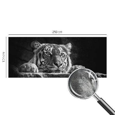 Fototapeta pro holku Dravý pohled