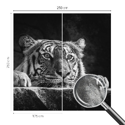 Fototapeta pro holku Dravý pohled